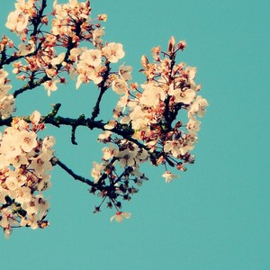 雏田爆乳被❌🔞㊙3D
